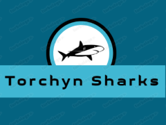 Логотип команди Torchyn Sharks