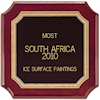 Most ice surface paintings: South Africa 2010