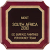 Daugiausiai ledo paviršiaus piešinių pagal ledo ritulio komandą: South Africa 2010