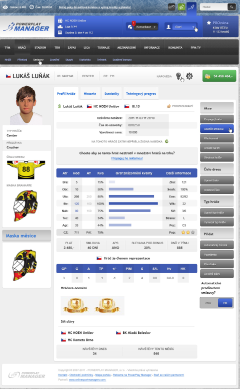 Player profile