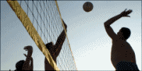 Volleyball - Online Games - Enjoy the taste of victory!