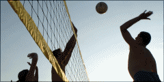 Volleyball - Jeux en ligne - Apprécie le goût de la victoire!