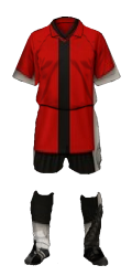 Dres tima