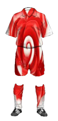 Meeskonna vorm