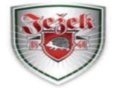 Логотип команди 1 FC Ježek 63