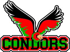 隊徽 Pereira Condors