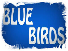 Komandas logo Blue Birds Munich