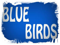 לוגו קבוצה Blue Birds Munich