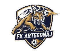 Logo tima FK Artegonaj