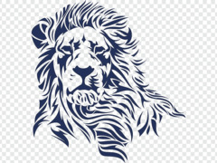 Логотип команды Lion Strength