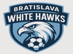隊徽 Bratislava White Hawks