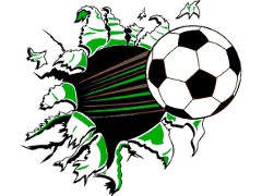 Holdlogo Sauerländer Fohlen