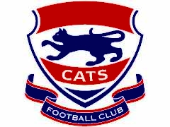 Лого на тимот Thorvilla CATS