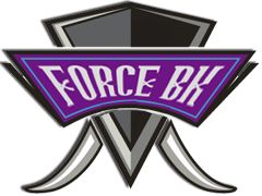 Ekipni logotip Force BK