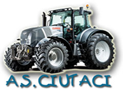 Лого на тимот A.S. Ciutaci