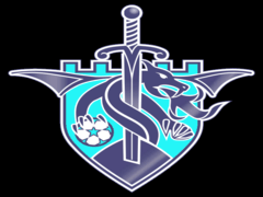 Лого на тимот Barrytown