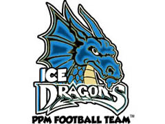 隊徽 IceDragon