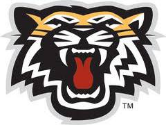 Teamlogo BlueTiger