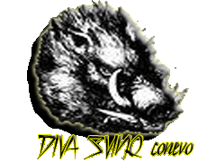 Логотип команды DIVA SVINQ conevo