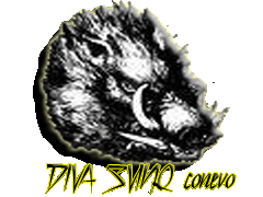 队徽 DIVA SVINQ conevo