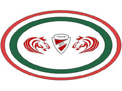 Логотип команды 1910 Diósgyőr FC