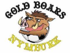 Logo tímu GOLD BOARS NYMBURK