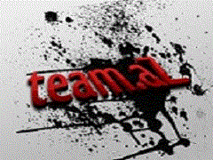 Logo tímu