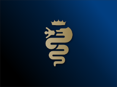 Логотип команды maneshT