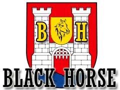 Logo týmu Black Horse